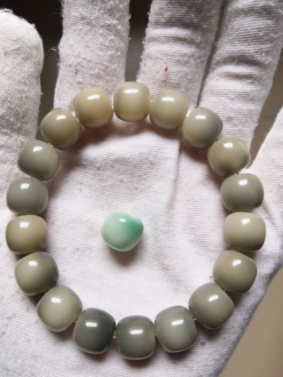 阴皮菩提二十天变化 图五:刚到手的样子,翠绿翠绿的,我都怀疑是不是