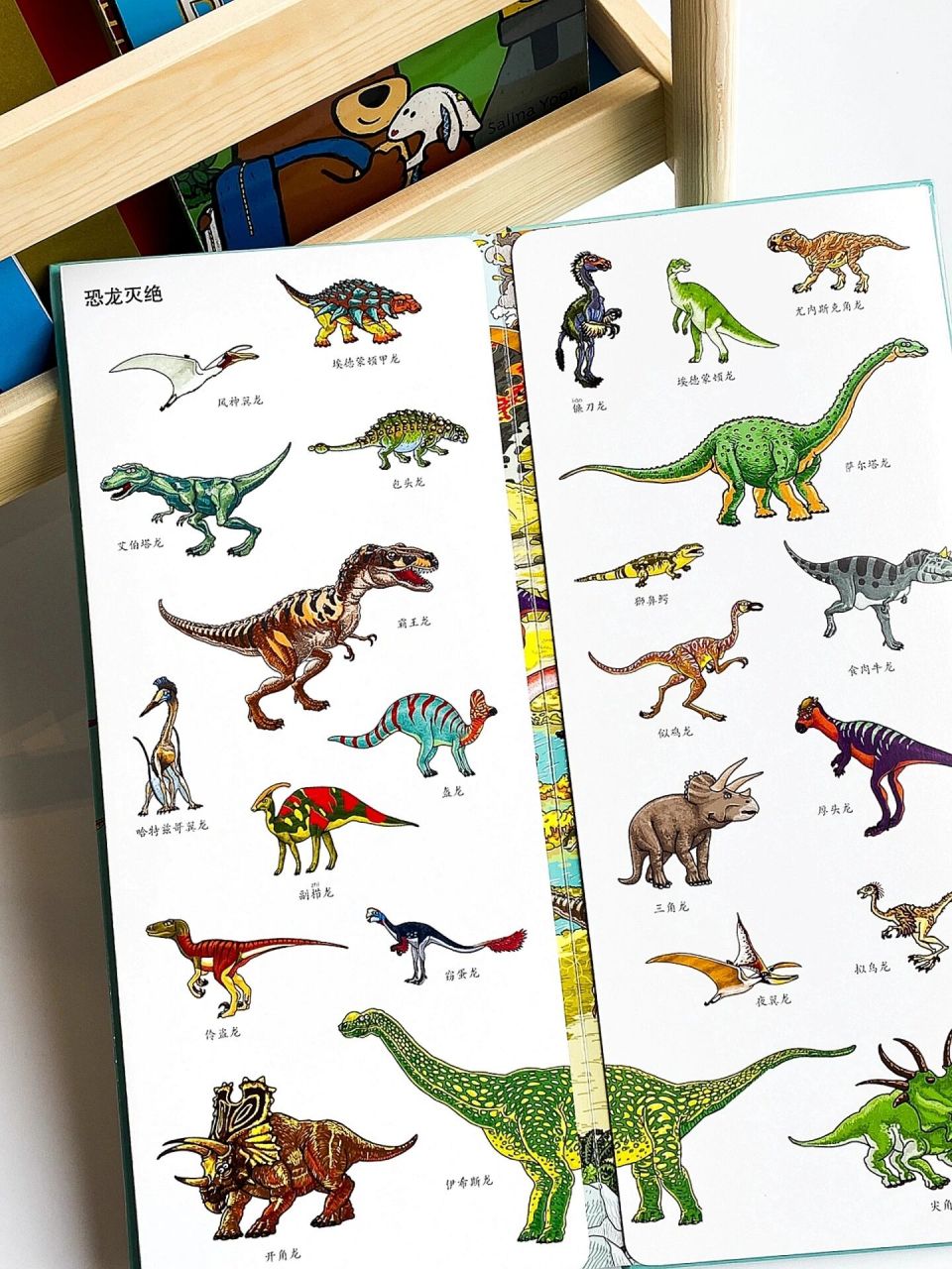 7215选来选去终于被我买到它 瞬间成为我家恐龙宝藏书!