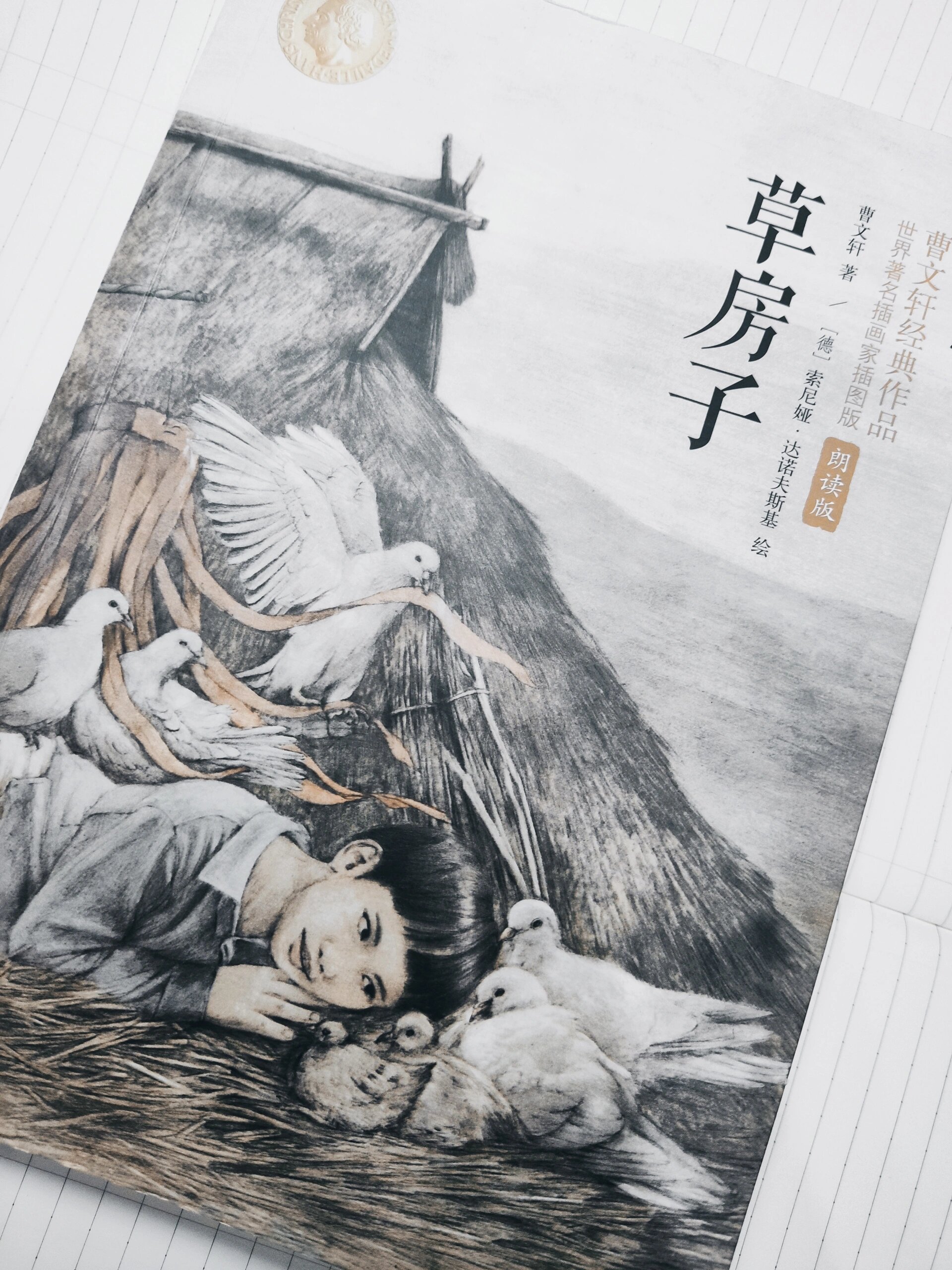 近期阅读——重温《草房子》