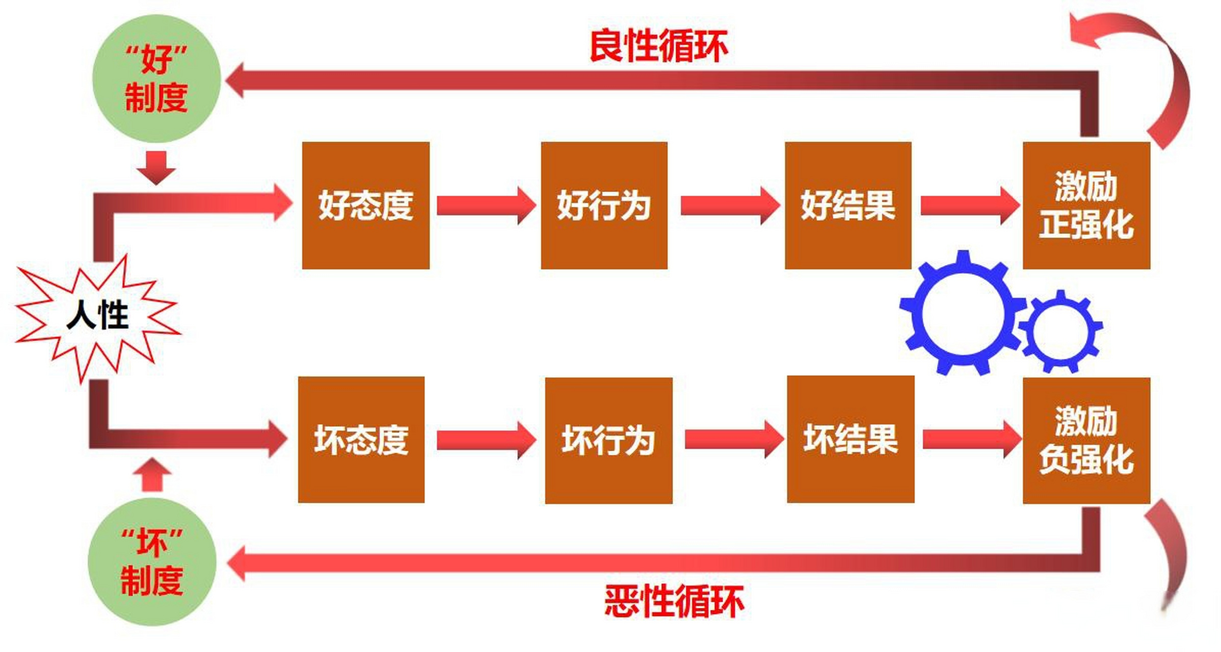 企业管理制度与人性逻辑管理双循环图