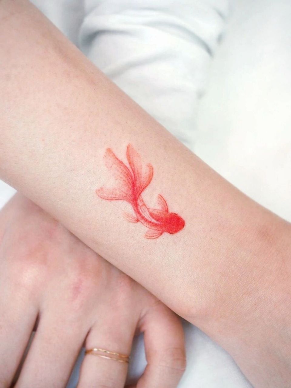 云南纹身|适合女生的小锦鲤,愿你好运相伴