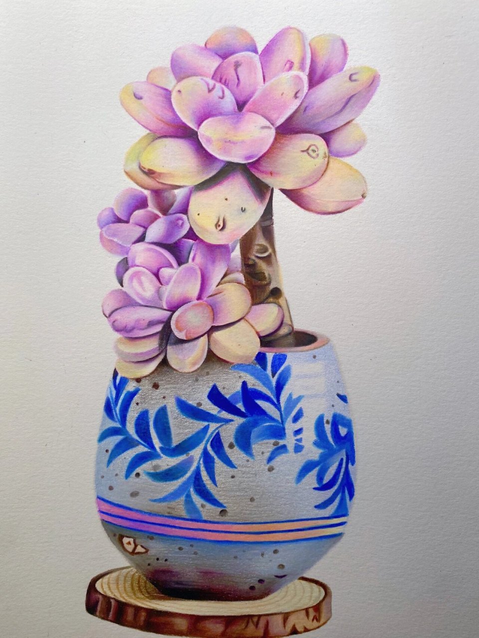 简单易学,彩铅多肉植物, 小可爱--定要收藏好★ 绘画步骤: 第一步, 用