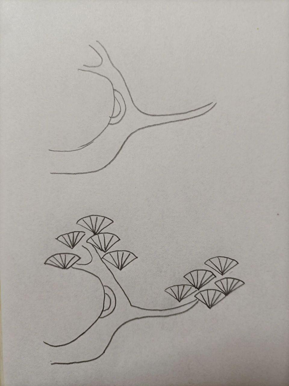 松树简笔画 手绘图片