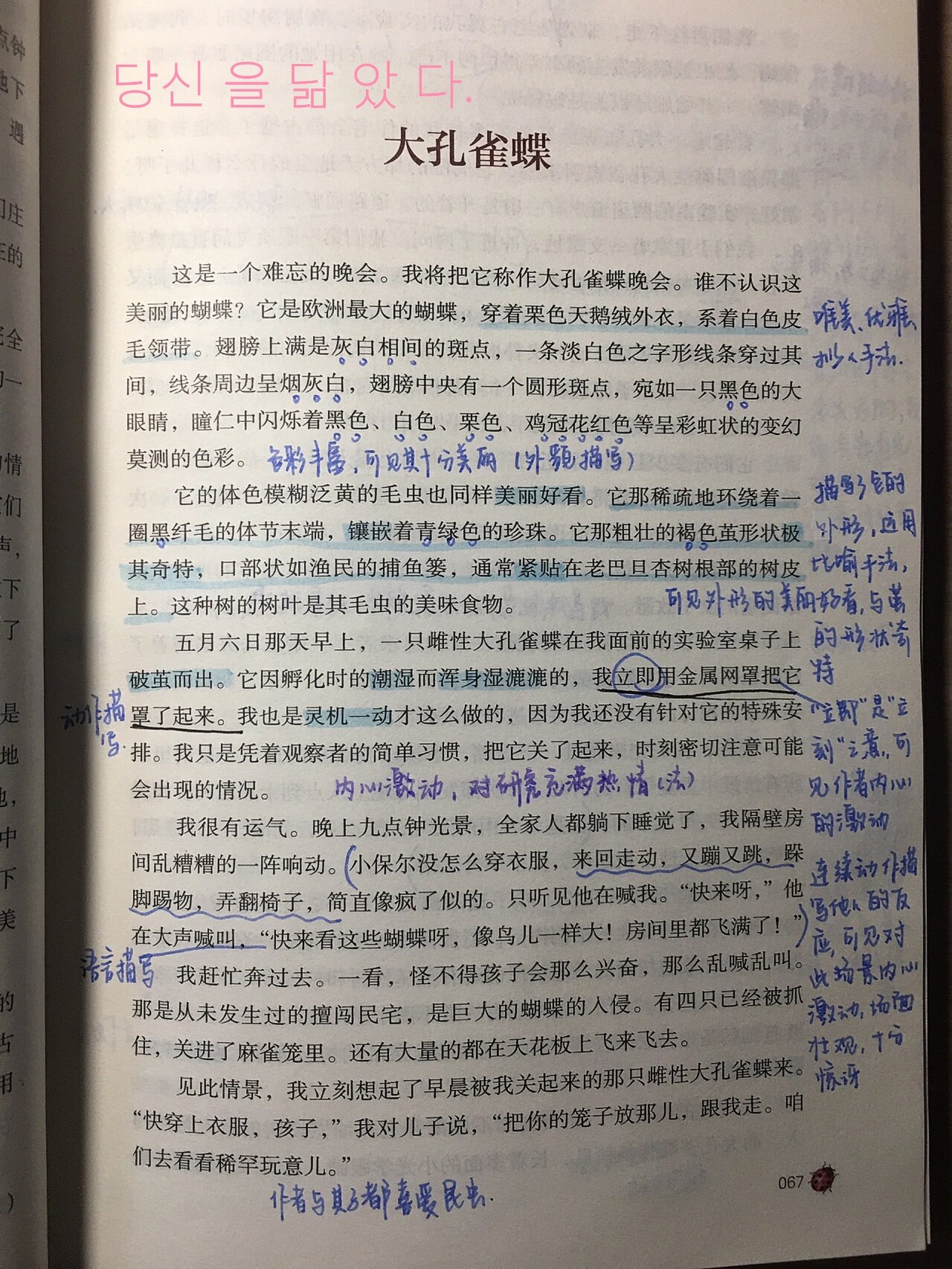 大孔雀蝶 昆虫记章节阅读批注 感受