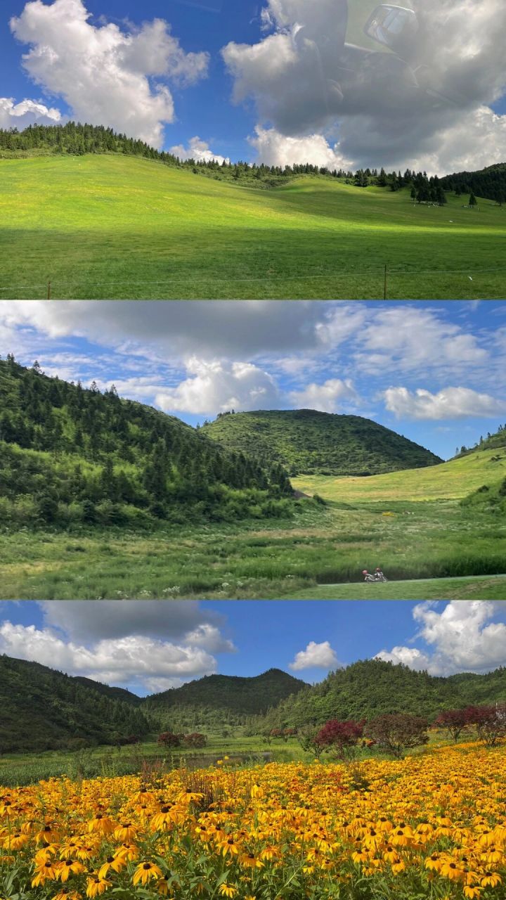 重庆酉阳 菖蒲大草原|小众 冲冲冲!
