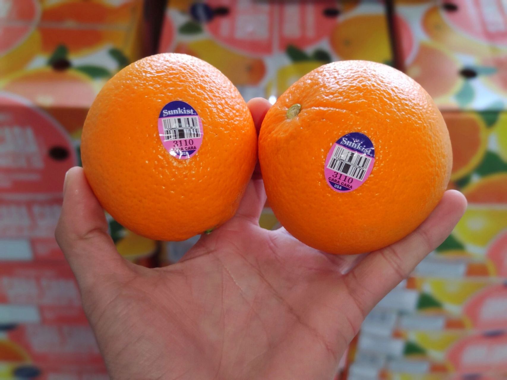 09新奇士3110血橙新产季开启!