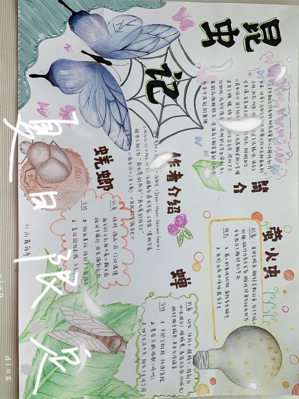 《昆虫记》小报  家人们,暑假作业写完了咩0606刚做完的小报,供
