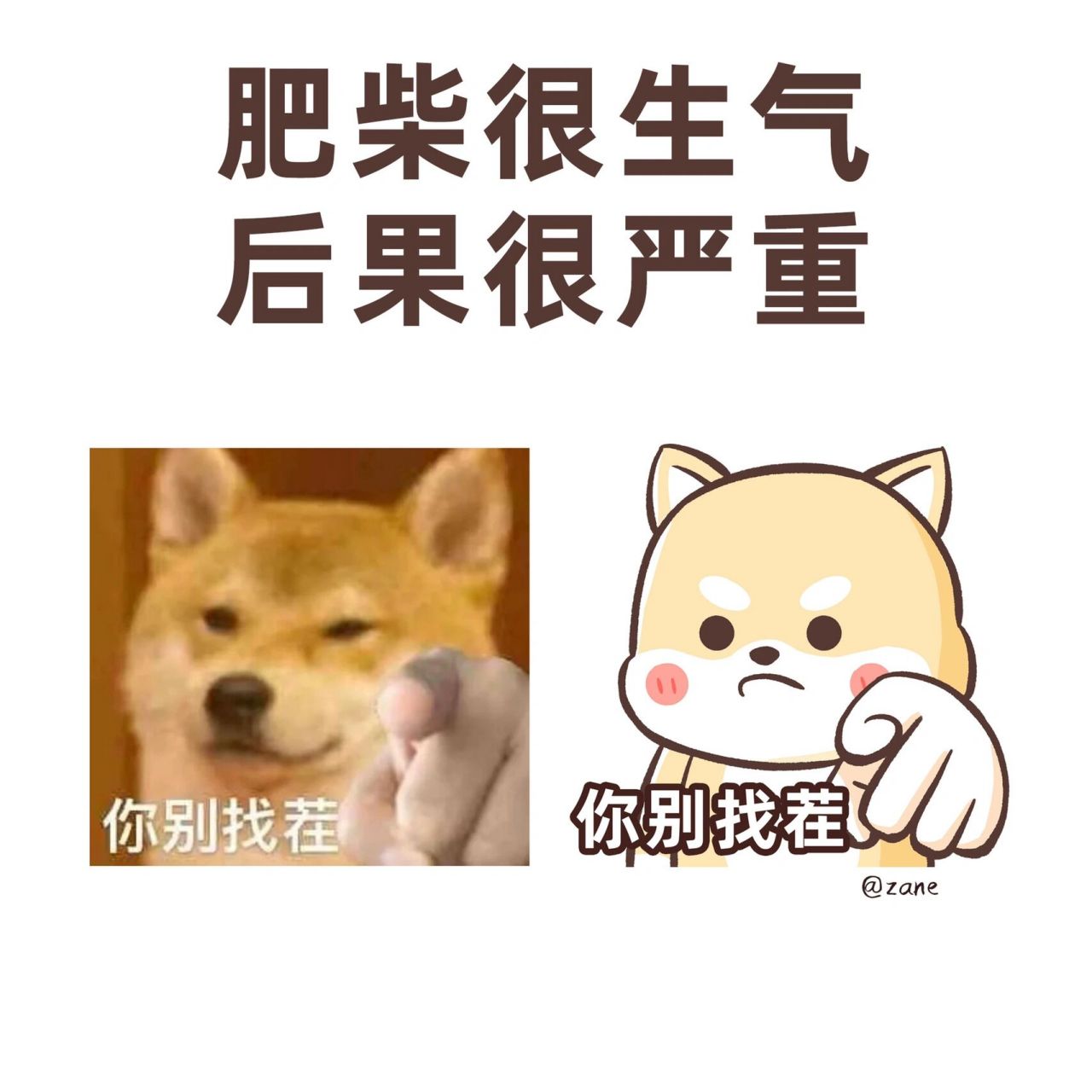 表情包 | 肥柴很生气,后果很严重(多图) 吵架吵不赢怎么办,试试柴小黄