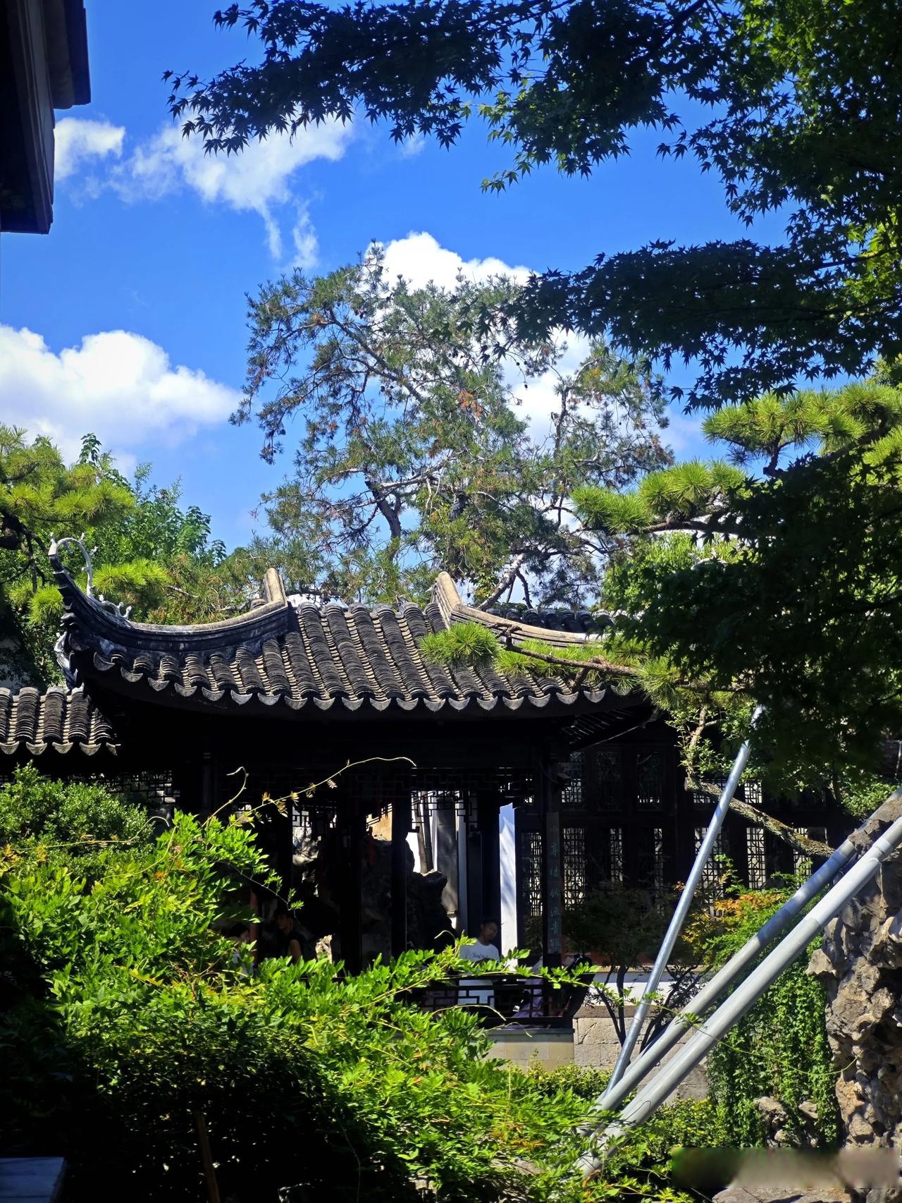 分享生活随手拍 环秀山庄,苏州园林之瑰宝,山水相依,石径蜿蜒