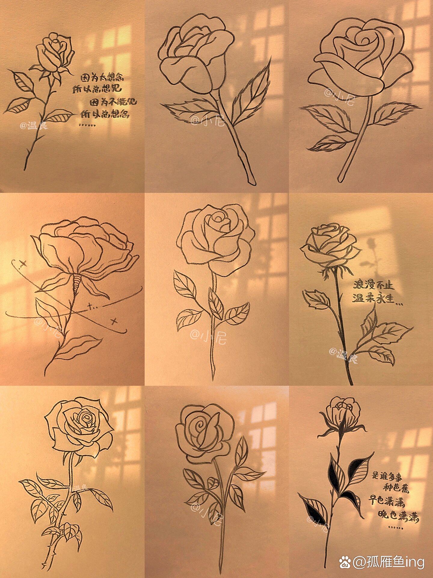 教你画玫瑰花合集