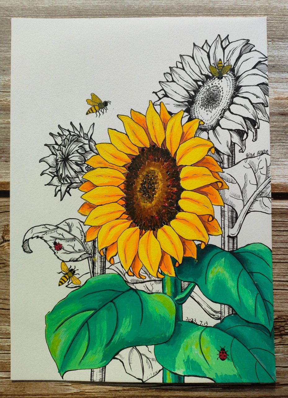 梵高也为她倾倒! 这次尝试用丙烯马克笔画线描,感觉也不是不可以啊.