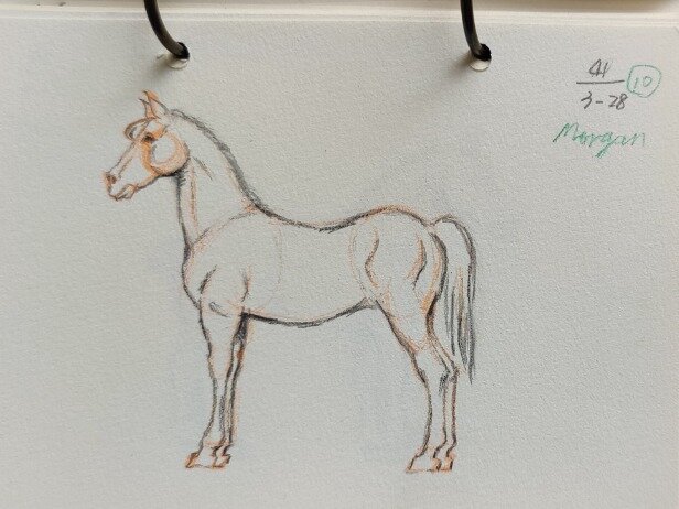 临摹 简笔画 马20 仔细画了几笔 发现这都是有规律可循 你有注意到吗