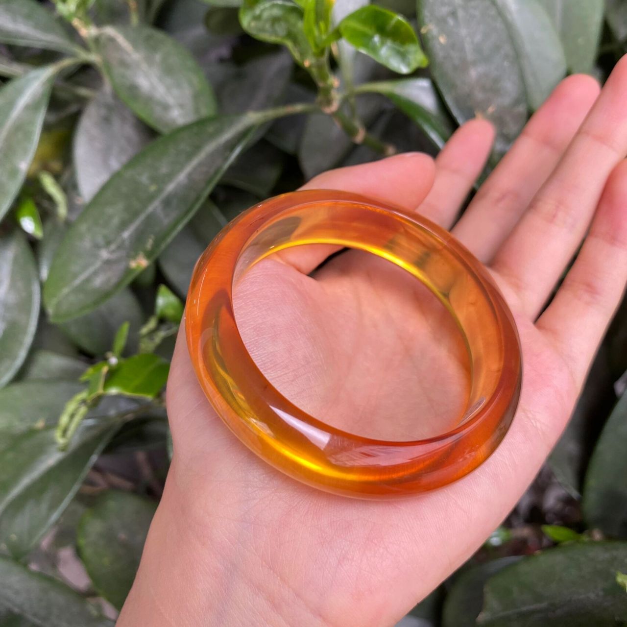 天然的缅甸琥珀手镯 顶级金棕手镯  没有冰裂 颜色完美  秋冬季节必备