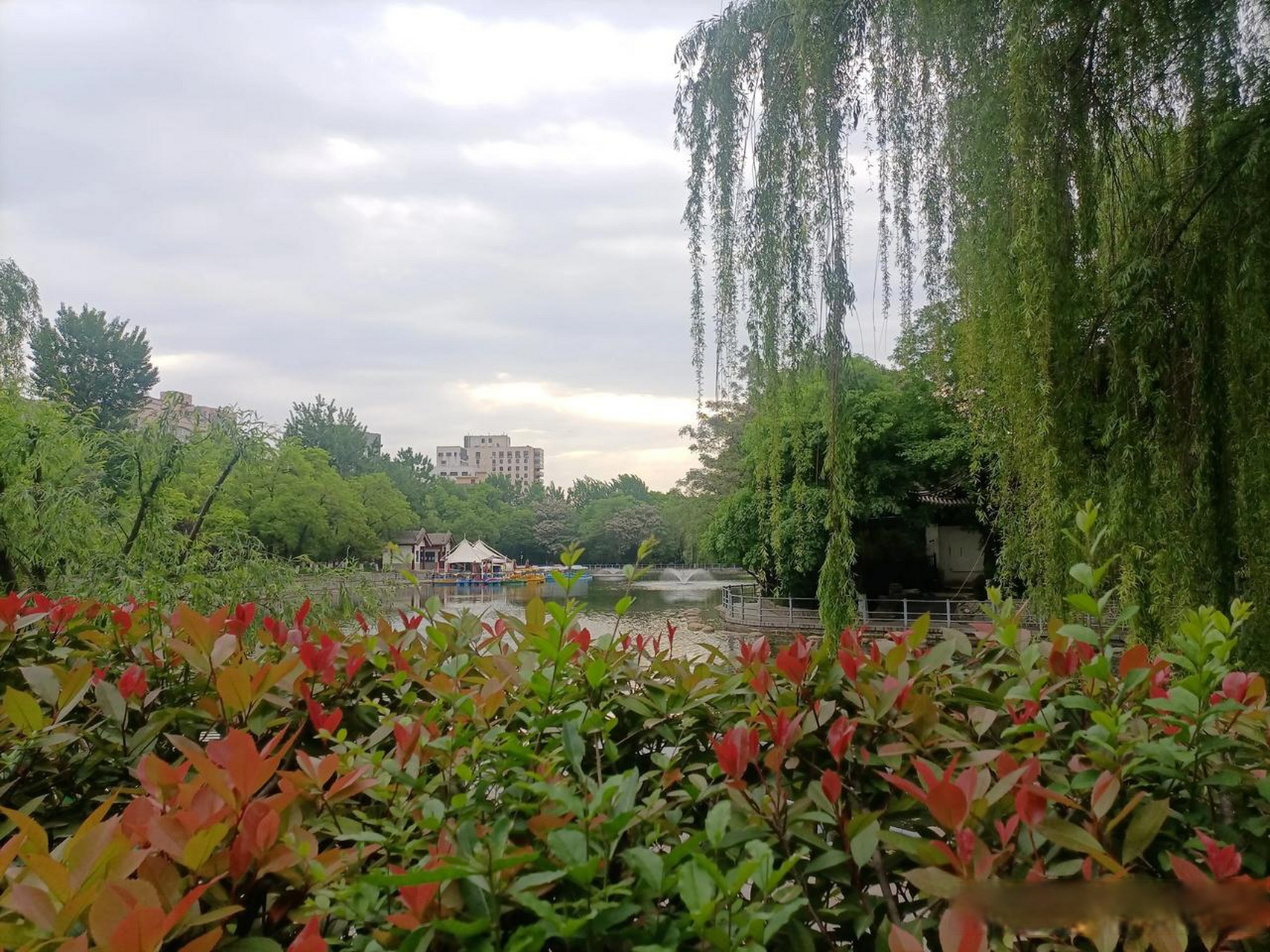 西安莲湖公园这地方风景还是挺不错的,公园不大,适合市民朋友晨练