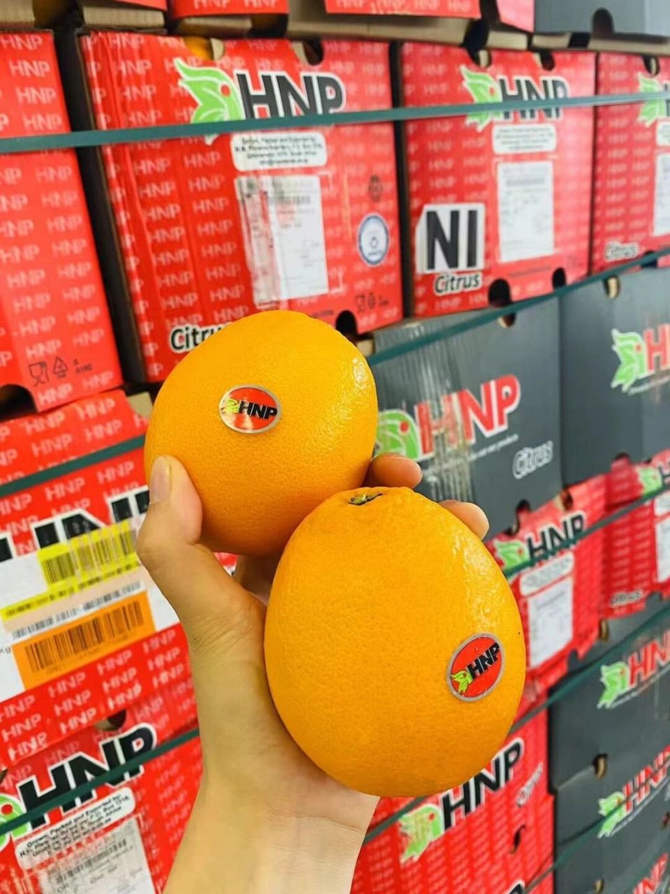 金巴利甜橙 给大家安利这款金巴利甜橙92口感非常好91,纯甜,橙子