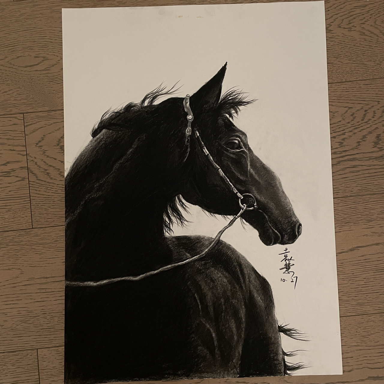 素描 骏马 临摹 炭笔 没有耐心画到最后草草了事 看个热闹吧