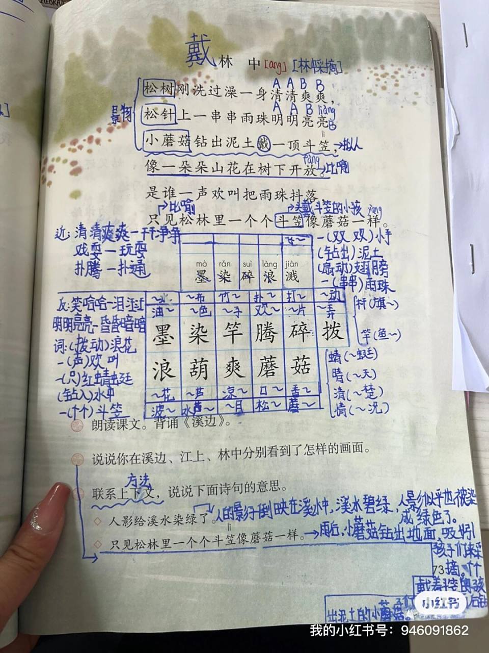 三下语文《我不能失信》学生笔记 欢迎指出错误#小学语文# #三年级