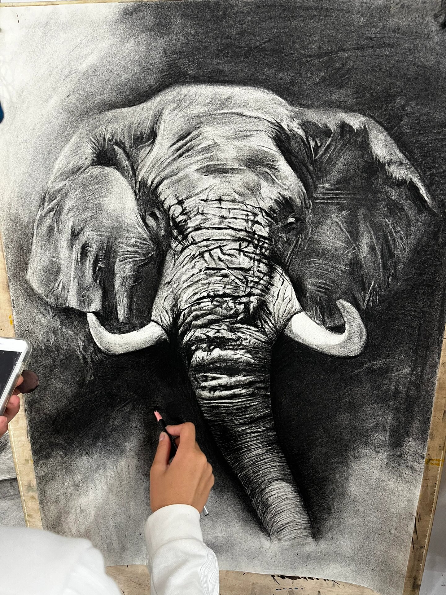 素描大象