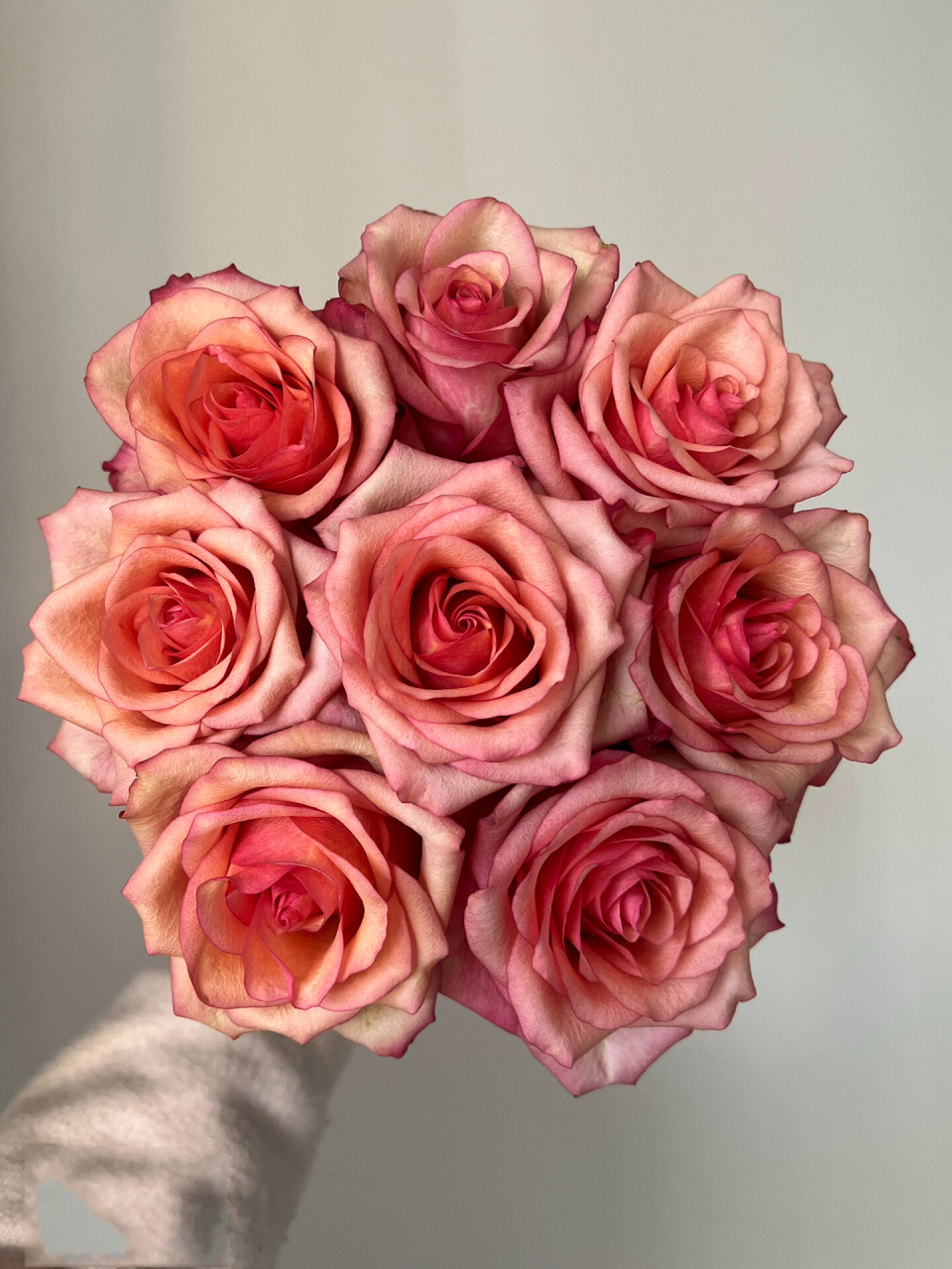 玫瑰分享丨翡翠 玫瑰不一定要开炸才美啊.