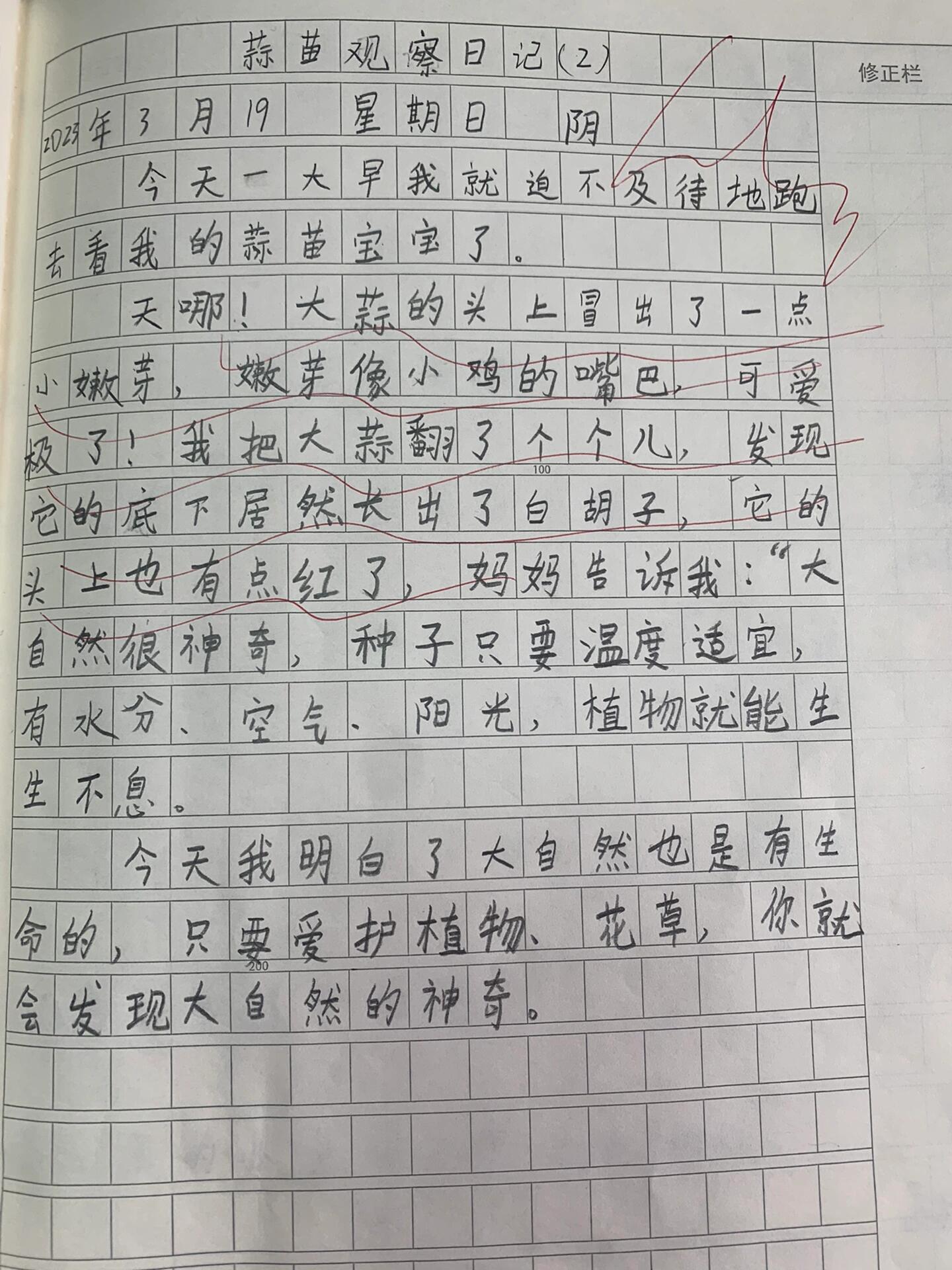 三年级上册观察日记怎么写300字(三年级上册观察日记怎么写300字绿豆)