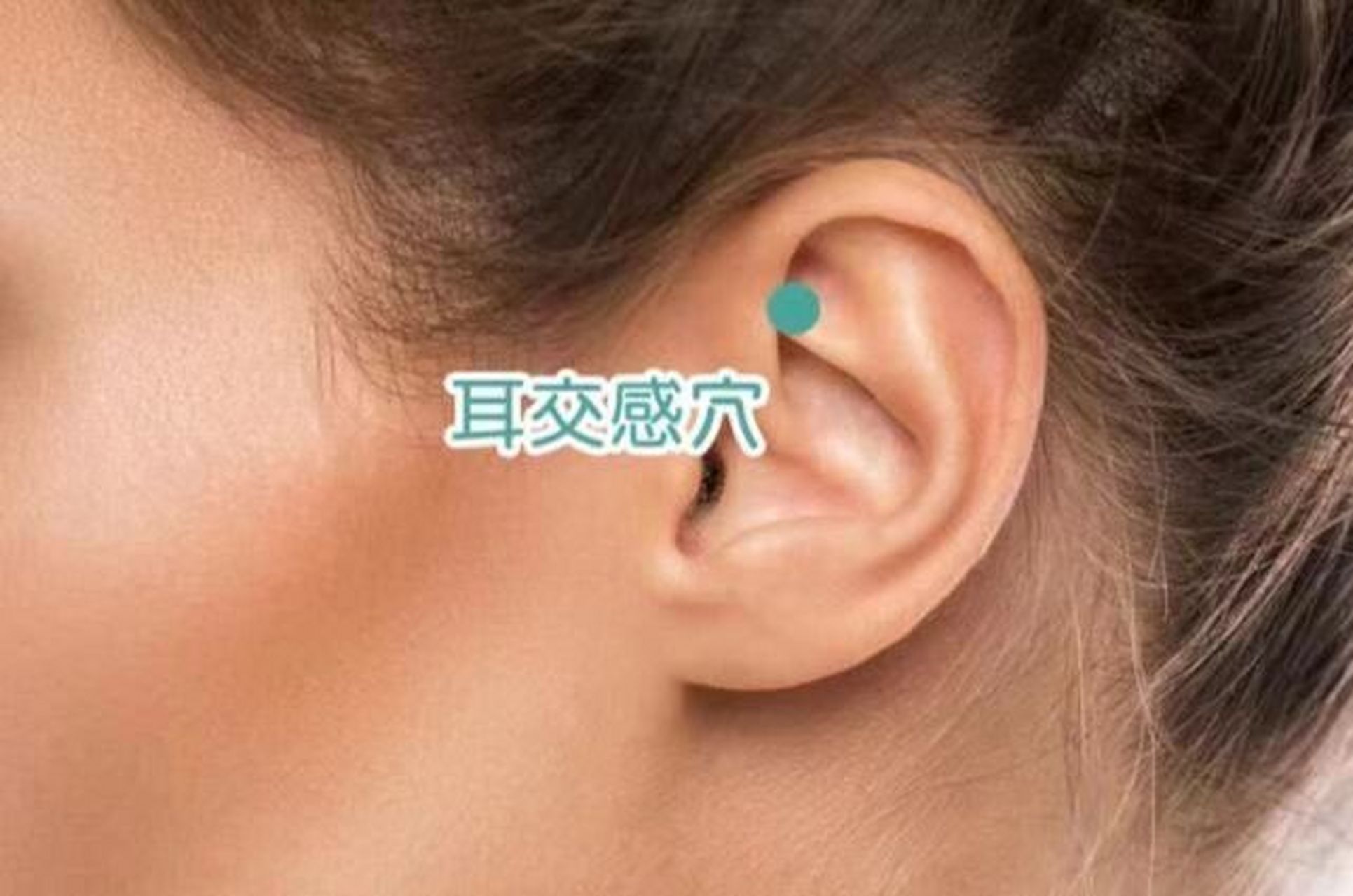 八个强大的耳穴之交感穴 耳朵上的交感穴9797 昨天给大家推荐了神