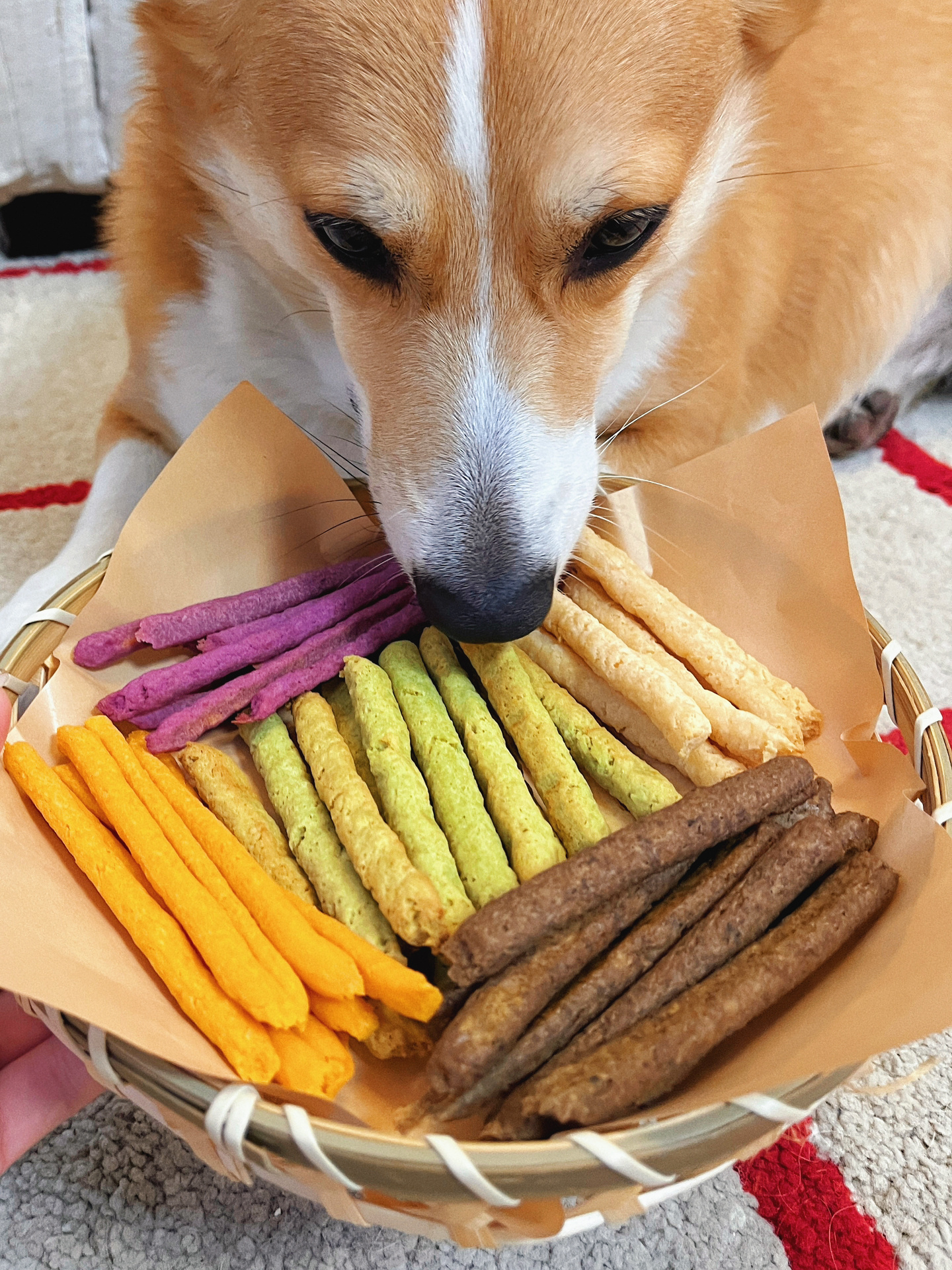 自制狗狗零食|磨牙饼干,一定要给小狗做一次 7515基础食材: 熟