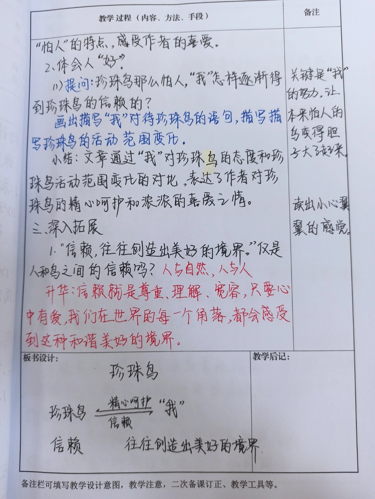 珍珠鸟板书设计 优秀图片