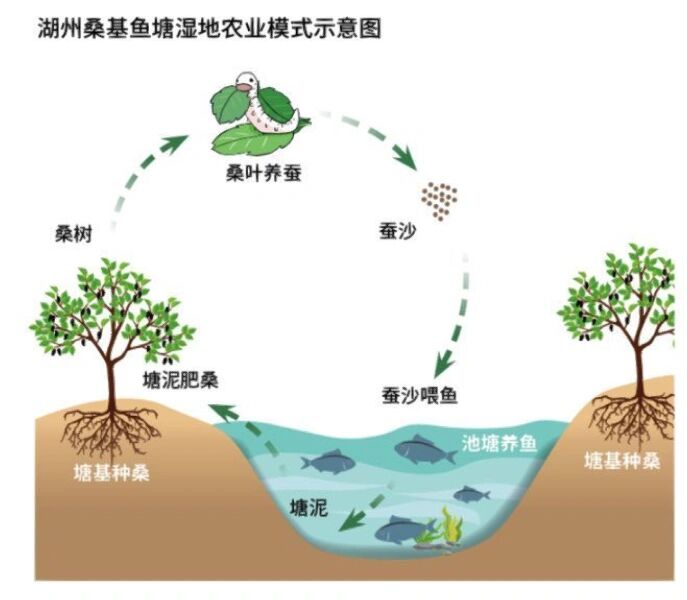 高中地理/"零污染"的湖州桑基鱼塘