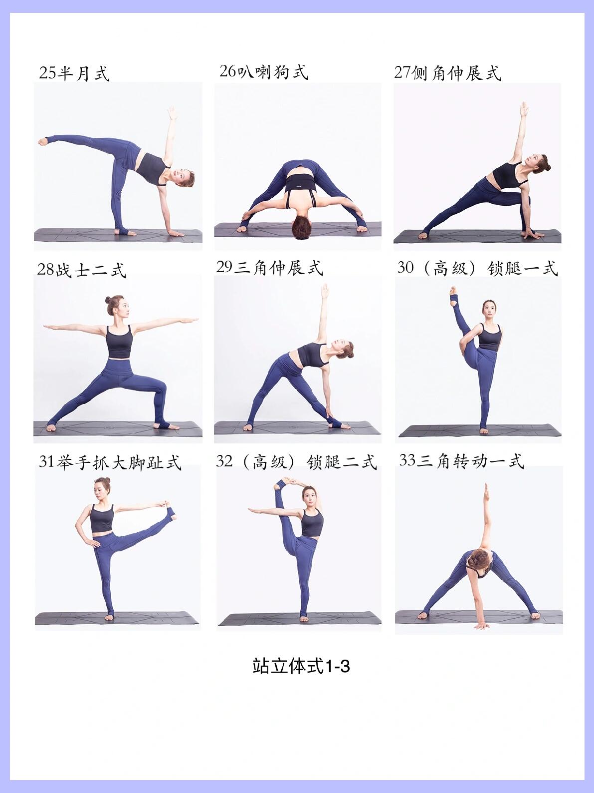 教材级收藏7315超40个站立体式-瑜伽排课必备