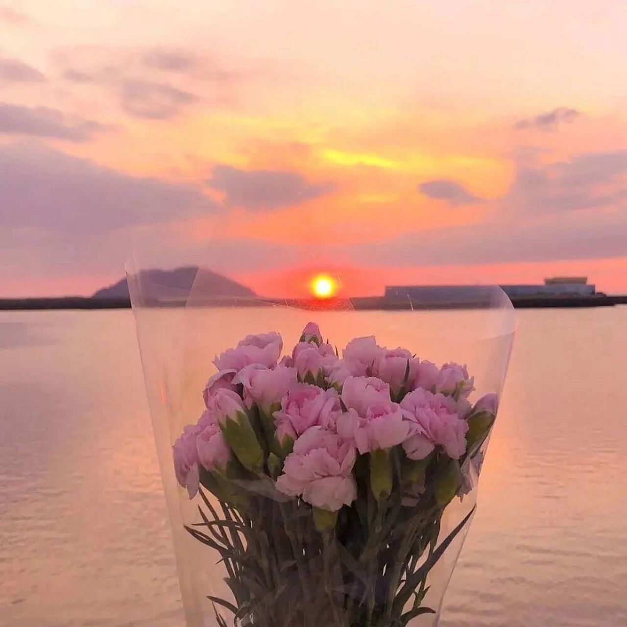 朋友圈鲜花/花束背景图