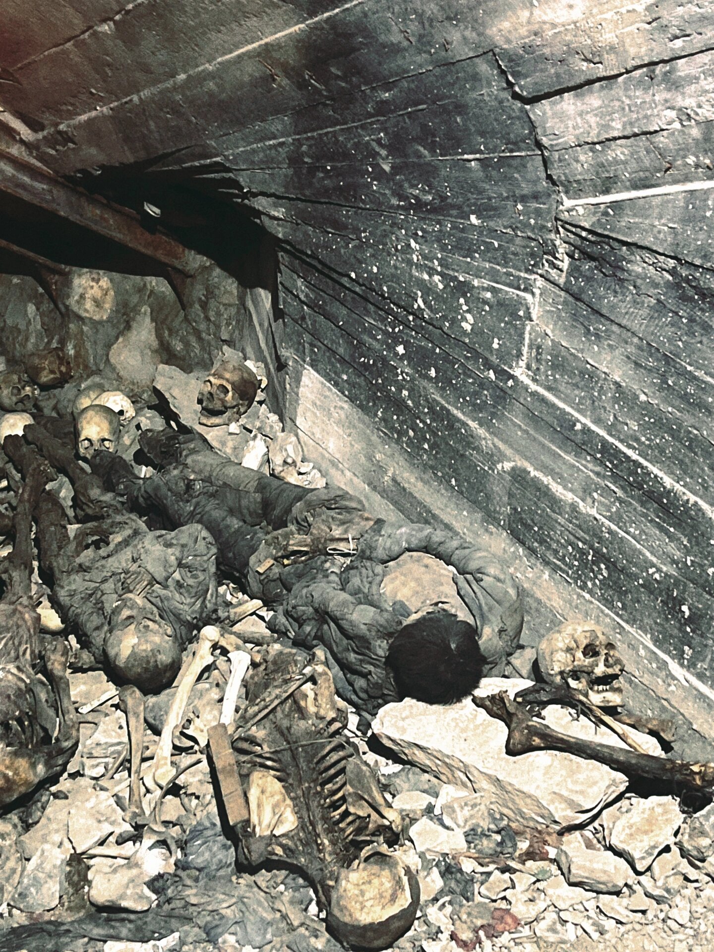 在里面呼吸都是沉重的,看到累累的白骨 ,望不到头的白骨,心中是悲痛的