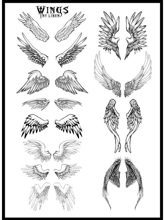 板绘素材|翅膀素材分享 每日一练 分享一些翅膀相关素材 为您的大触