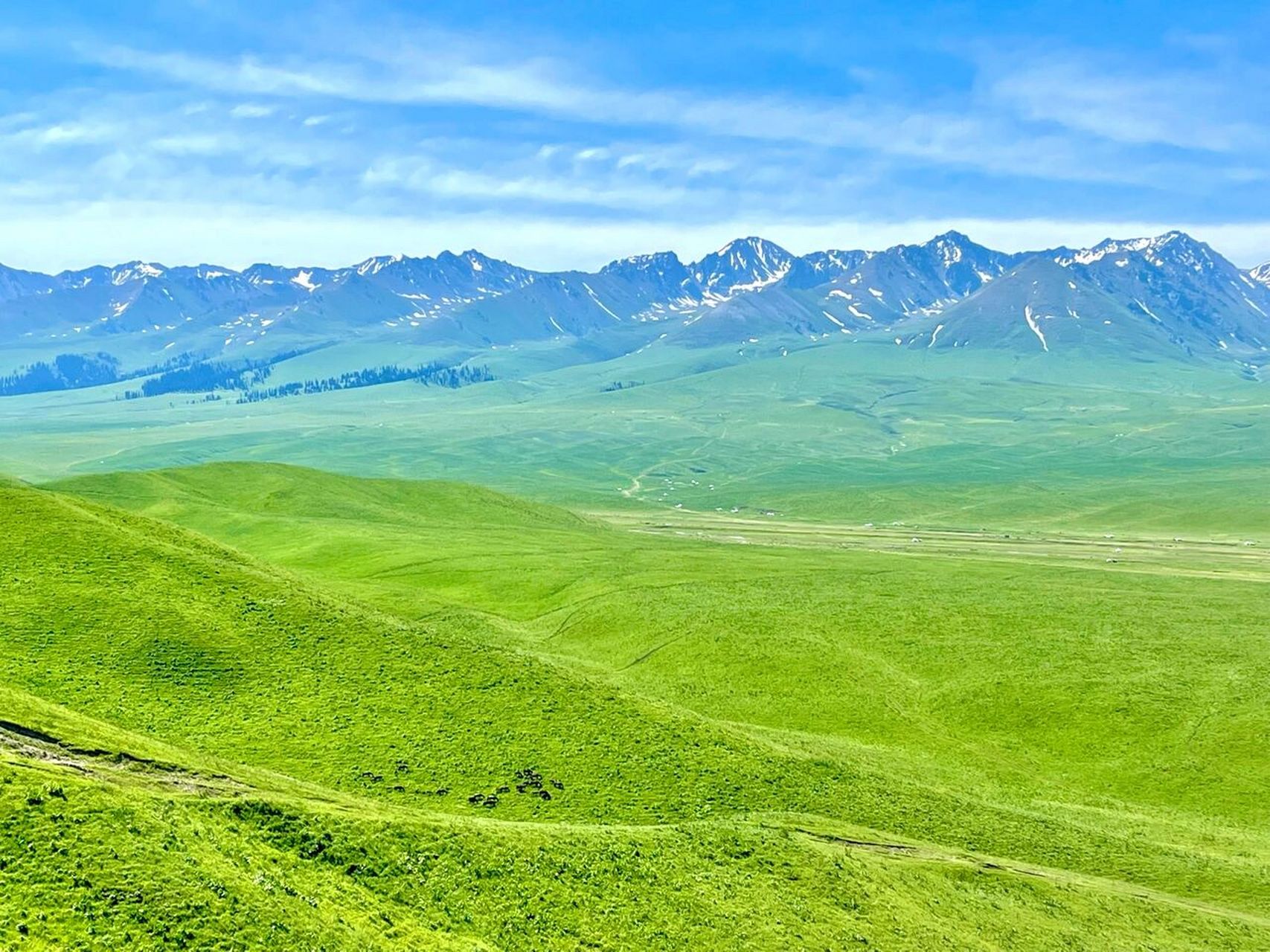 美到窒息的蓝天白云大草原 六月的新疆!草原辽阔!天空蔚蓝!心旷神怡!