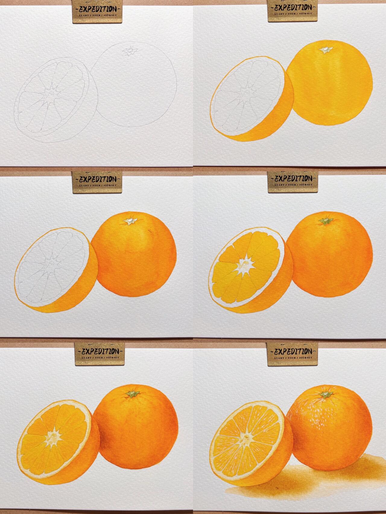 水彩|手绘橙子|带步骤图