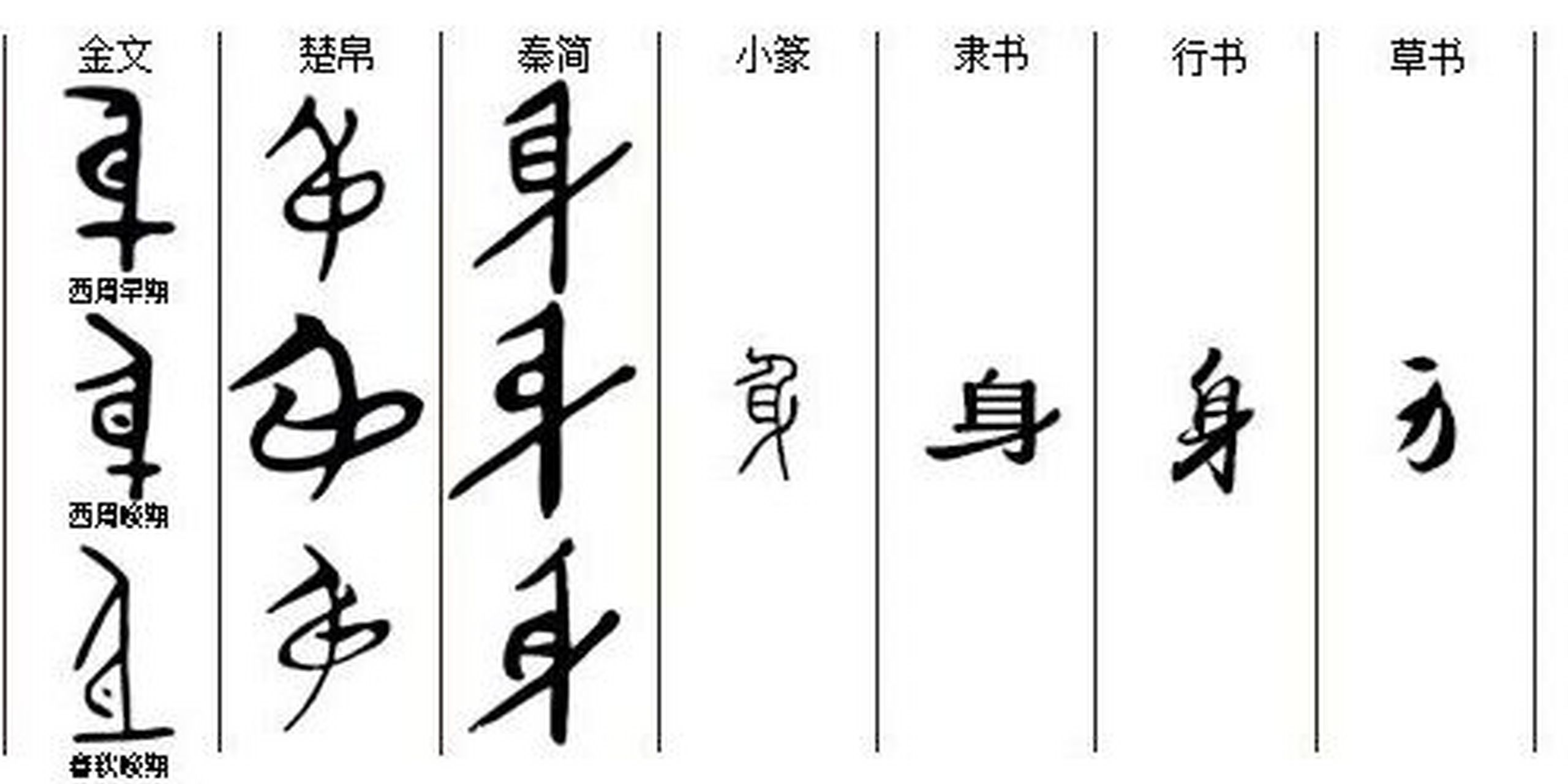 身字识读 "身"shēn,象形字,"身"字最早见于商代甲骨文.