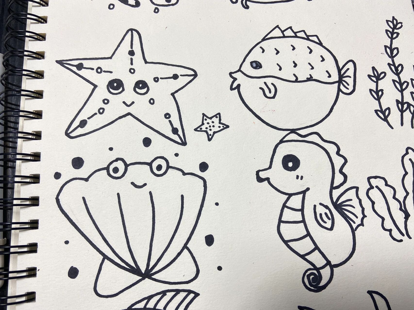 可爱的海底生物和海草简笔画 临摹 96