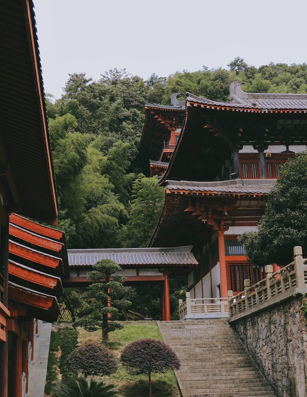 宁波香山教寺 ▏一个隐藏于山林里的绝美古寺  97宁波绝美寺庙,一个