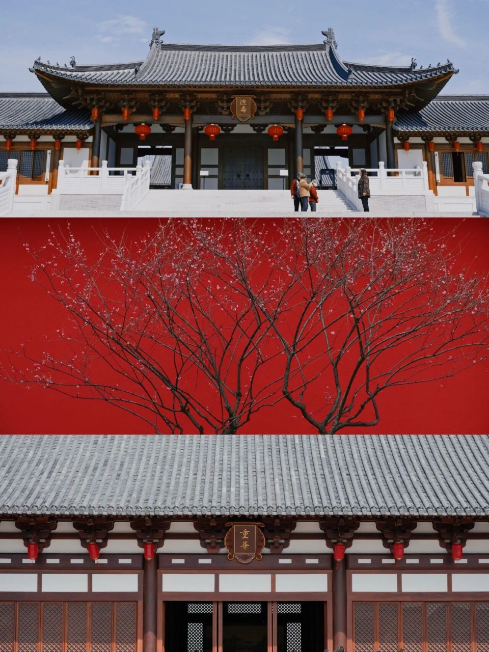 杭州德寿宫超详细打卡攻略|进宫喝茶喽☕️ 最近一年,先是版本馆,