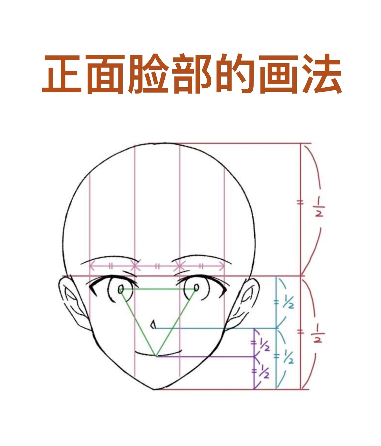 动漫脸正面画法参考