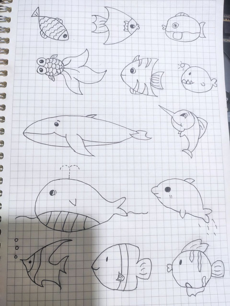 简笔画 鱼95 打卡海底世界之95 需要的姐妹93 可以拿走 又是被