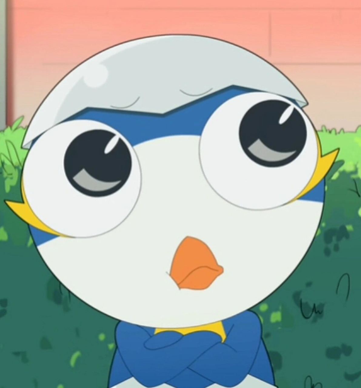 神奇阿呦头像 《神奇阿呦》