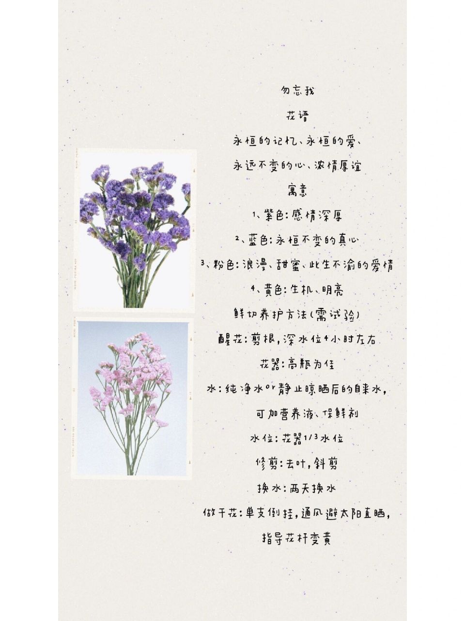 每天认识一种花——勿忘我 勿忘我 花语 永恒的记忆,永恒的爱, 永远不