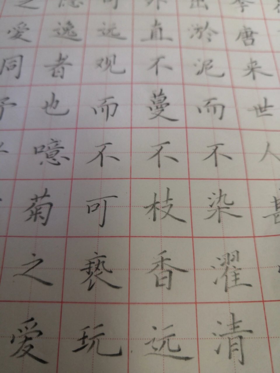 硬笔书法 《爱莲说》周敦颐