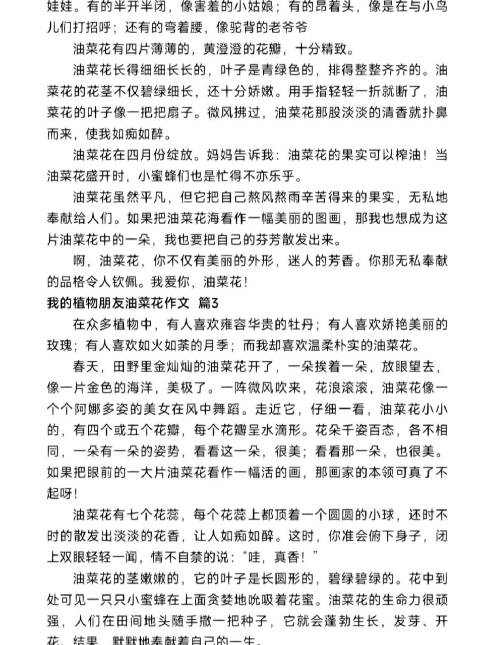 油菜观察作文300字四年级(关于种油菜的观察日记450字)