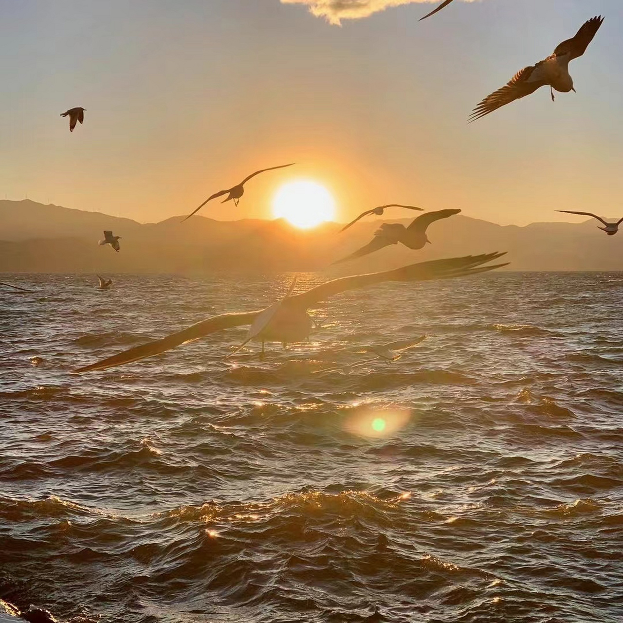 日出图片风景微信头像用什么好 日出代表着朝气蓬勃的一天的开始!