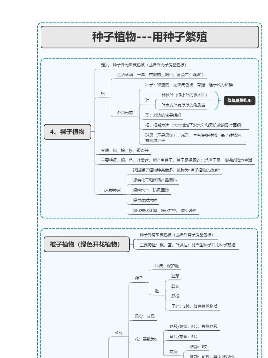 种子的构成思维导图图片