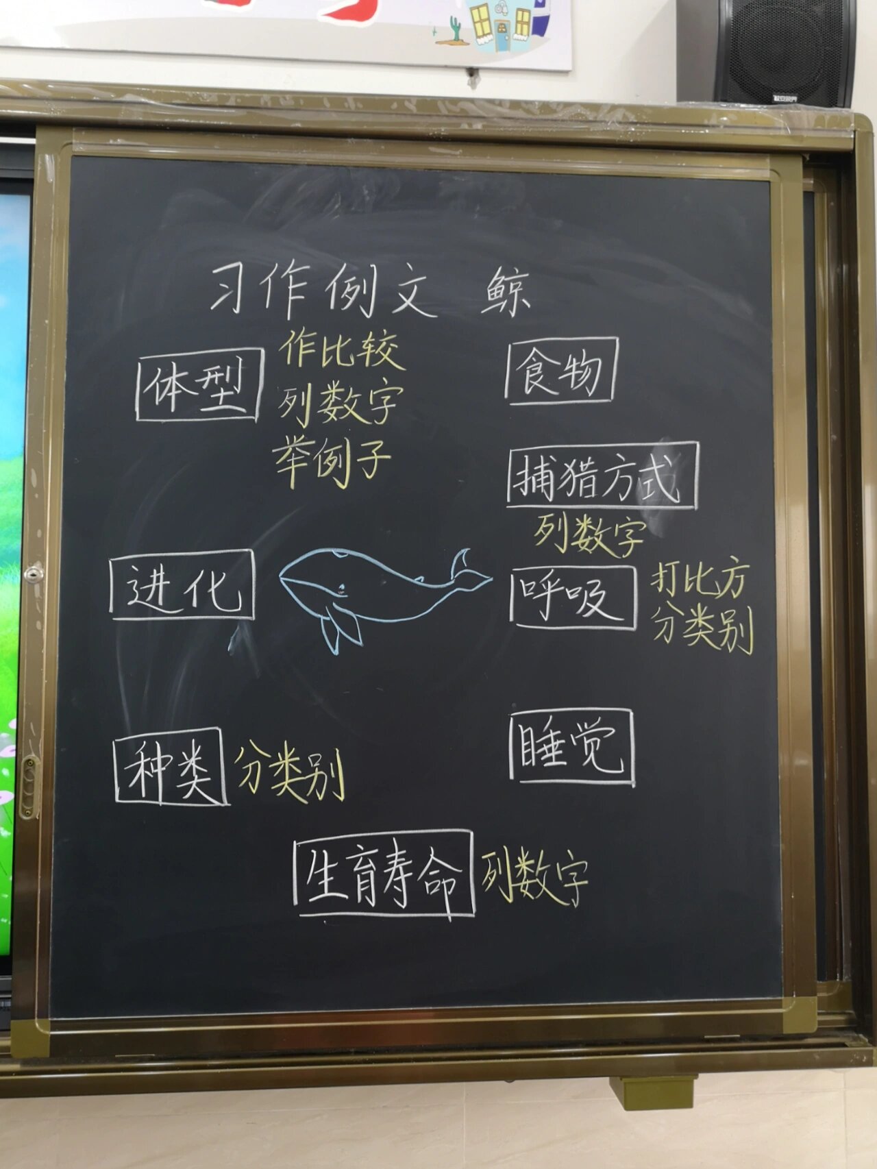五上语文习作例文 鲸 板书