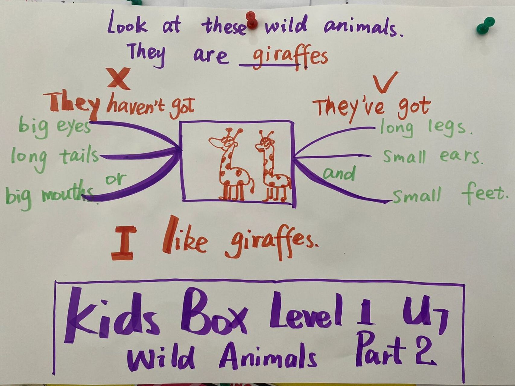 kids box 1 一年级思维导图练习