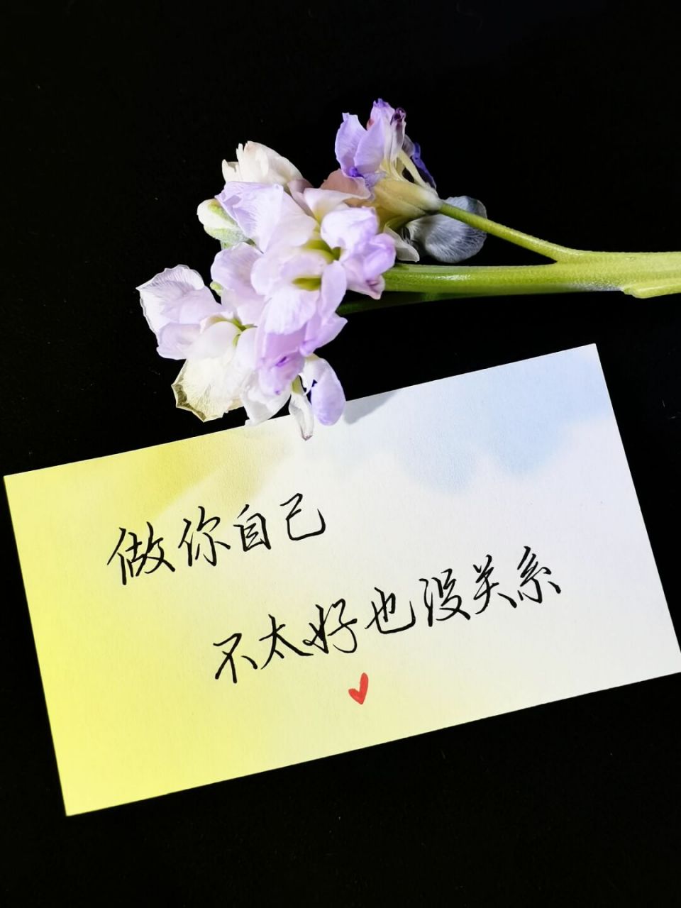 94做自己,不太好也没关系 人生就是一场漫长的自娱自乐 讨别人欢心