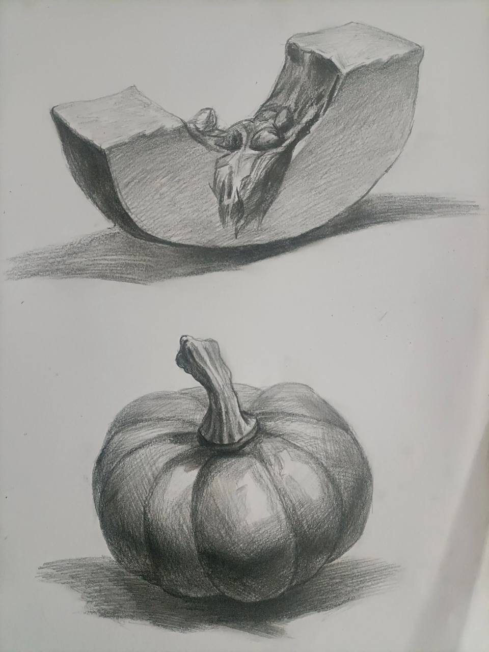 六年级学生画的素描南瓜